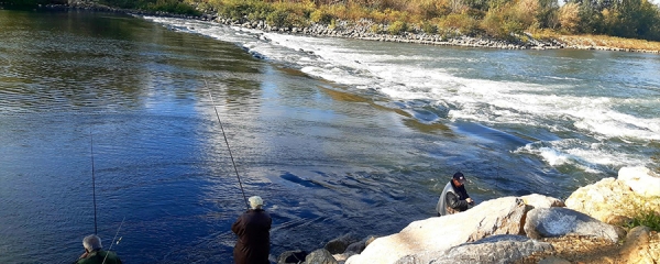 Fishing Serbia - Belgrade