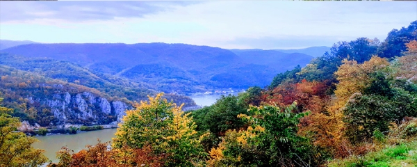 Forest wellness Serbia
