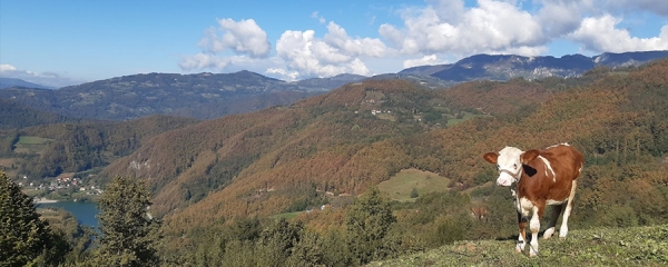 Serbia Countryside Tour