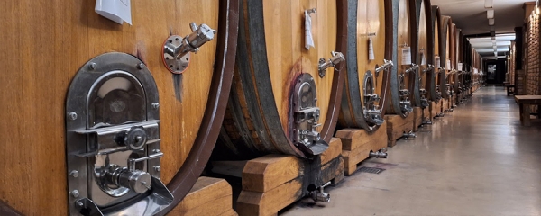 Serbia Wine Tours