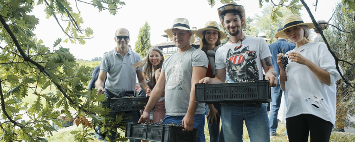 Incentives Organisers Serbia