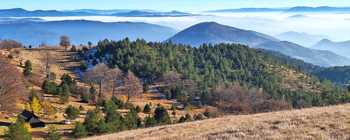 3 Days Trip - Western Serbia