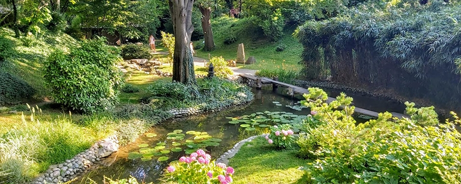 Forest Wellness Belgrade